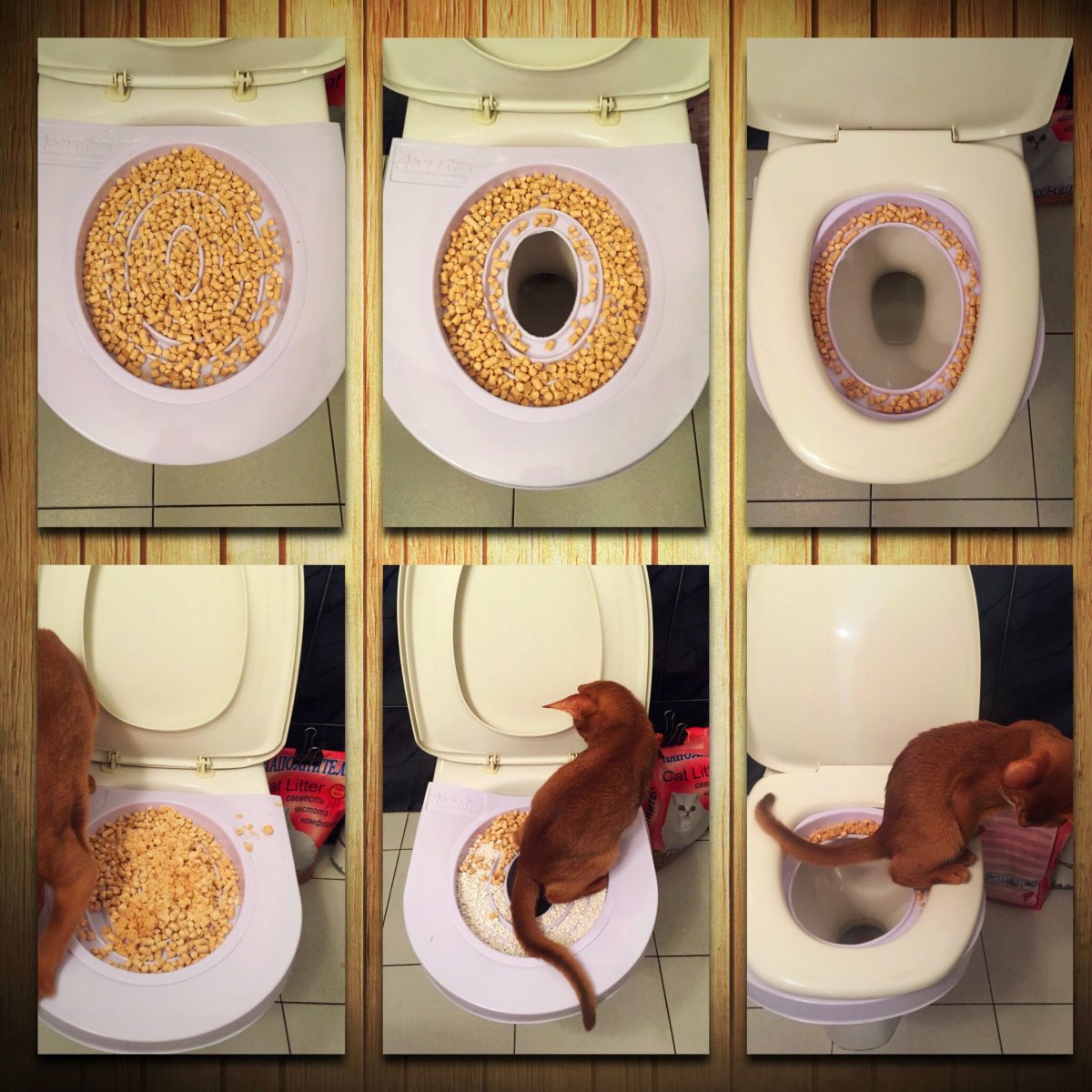 Собака на унитазе