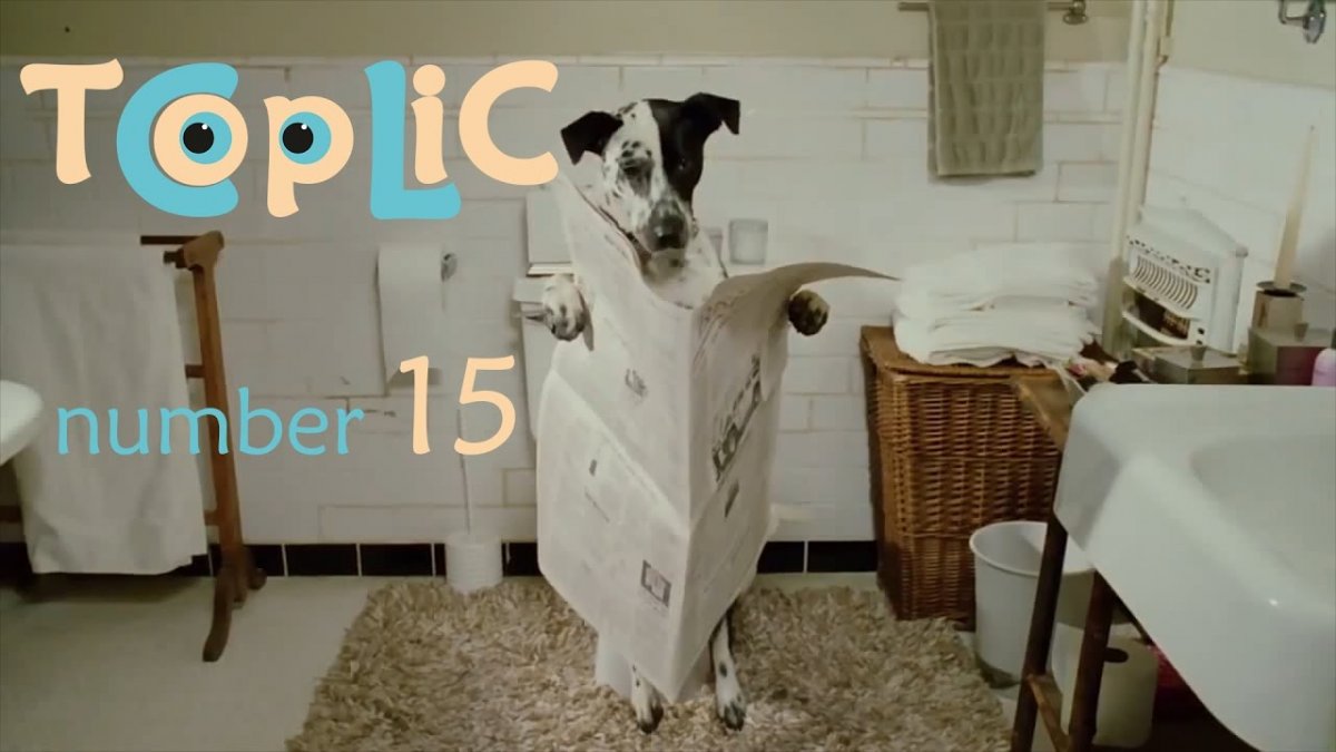 Приучение щенка к туалету на улице