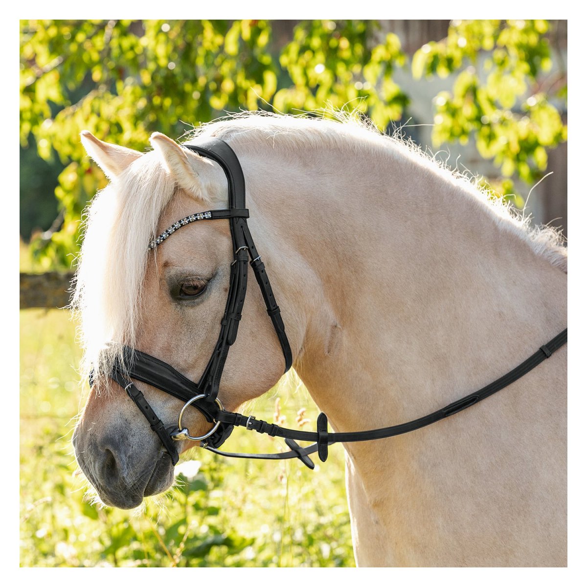 Оглобельно дуговая запряжка