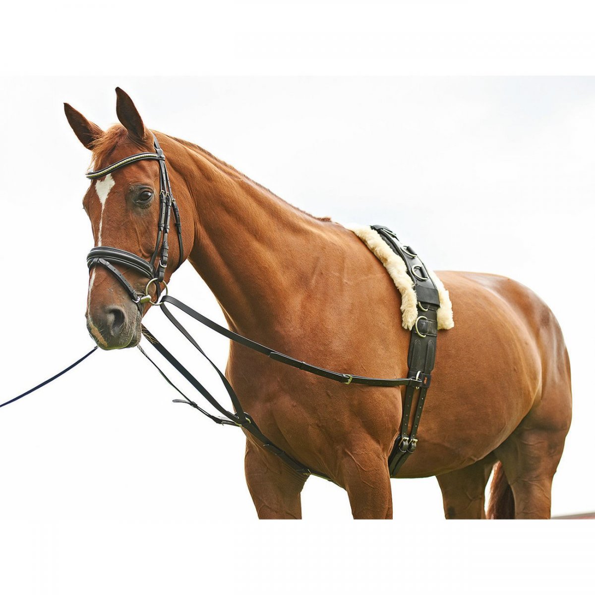 Одноконная дуговая упряжь