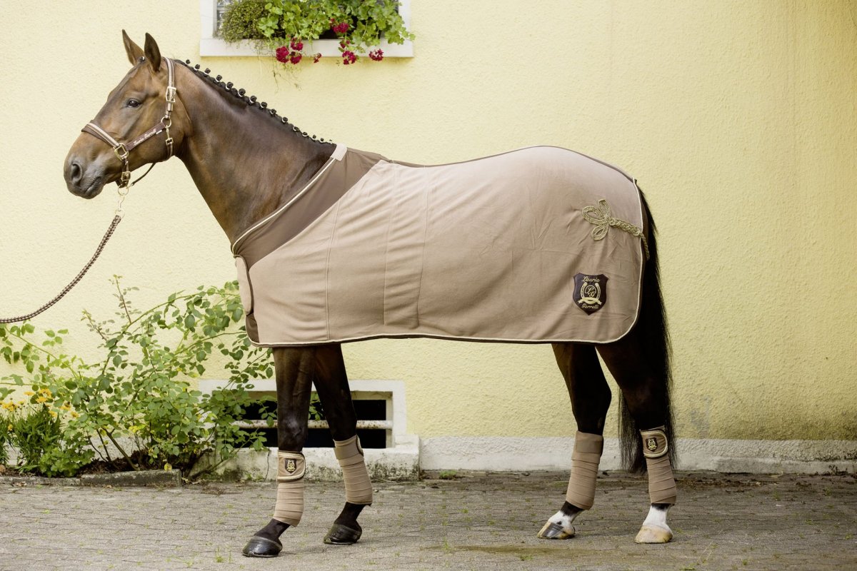 Повод Тодемана балансирующий