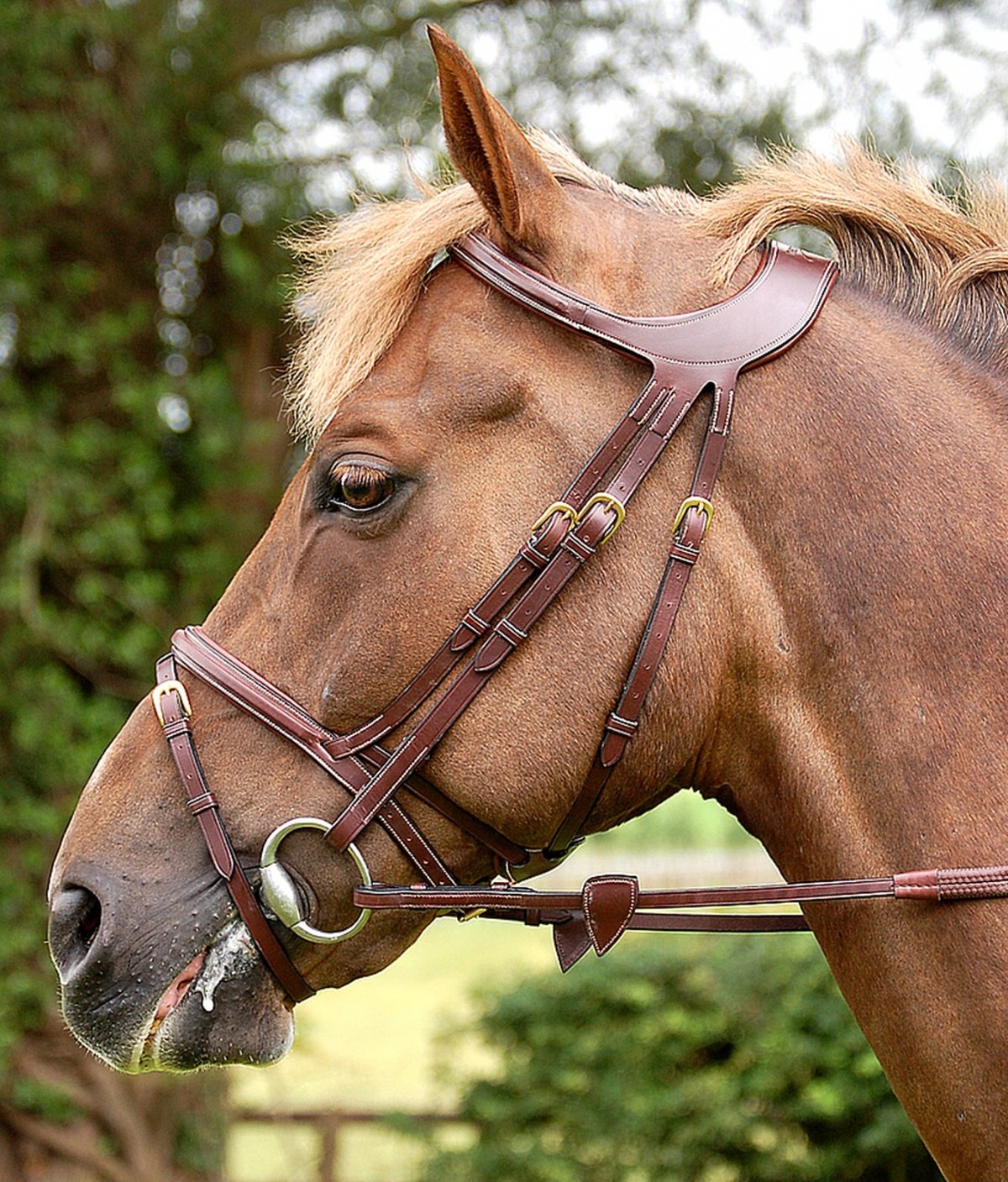 Вальтрап НКМ для лошади