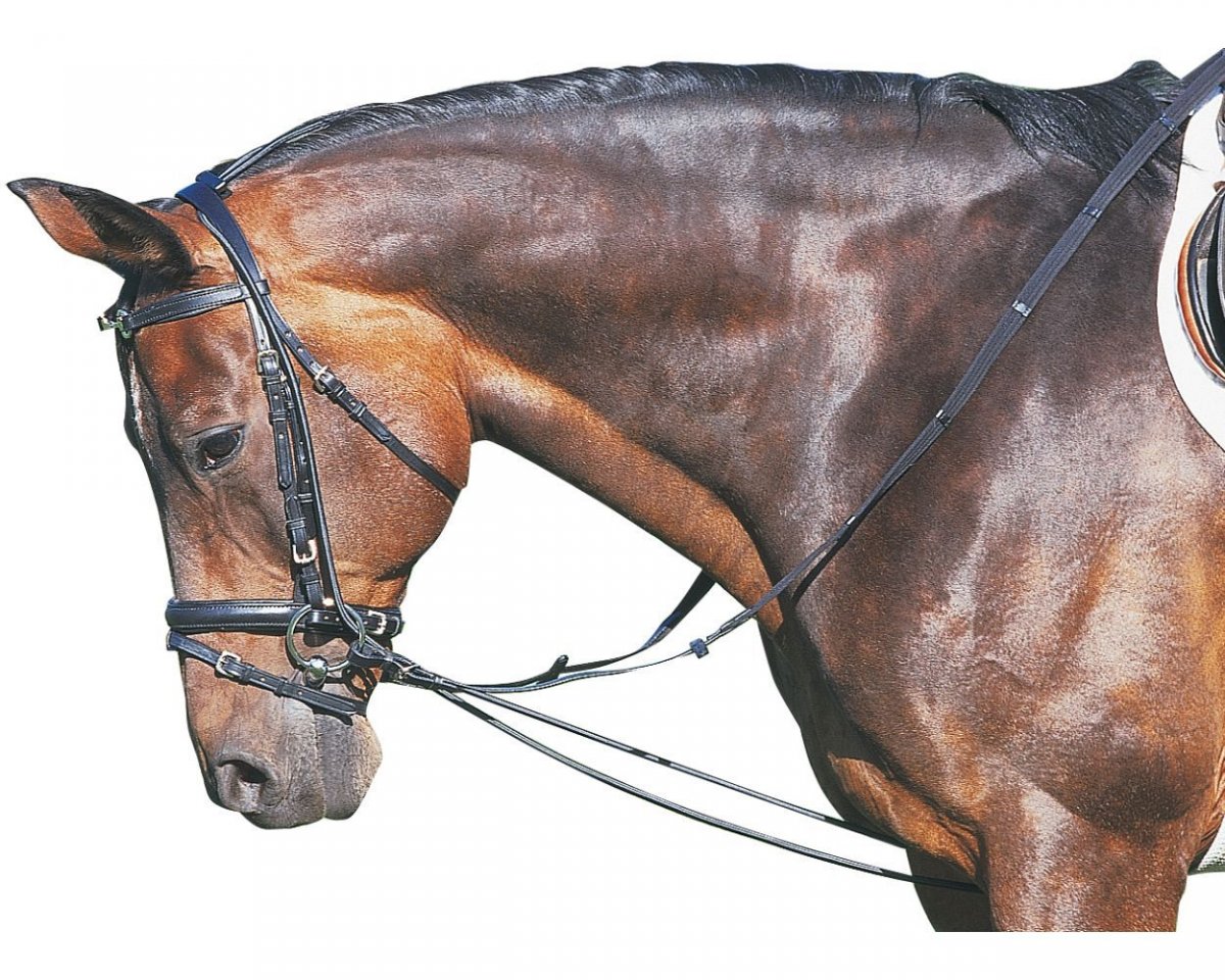 Вестерн недоуздок