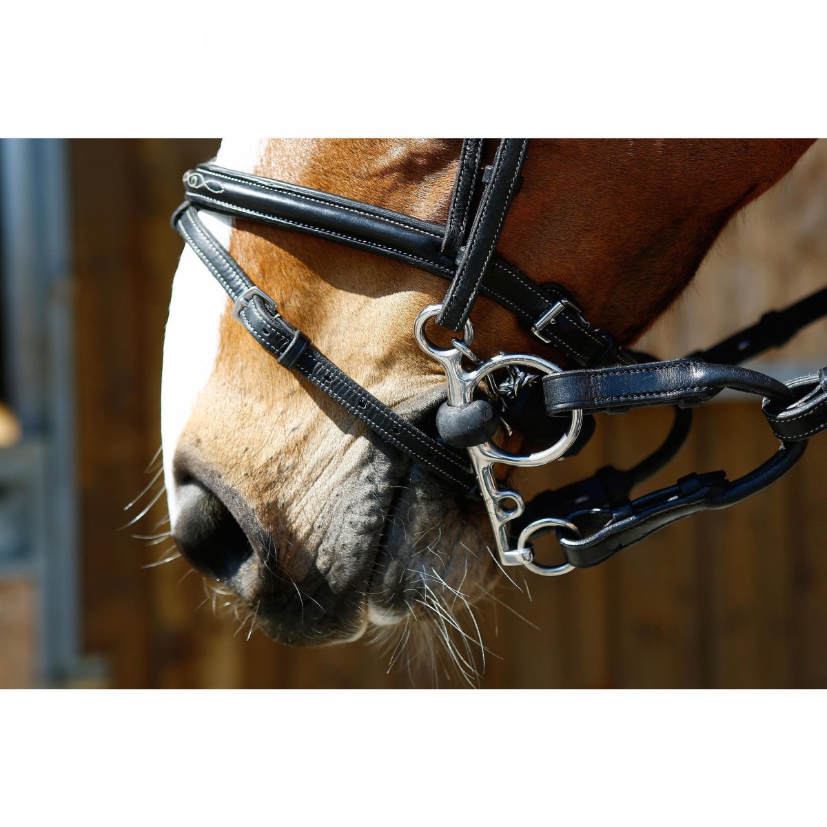 Лошади брейер амуниция