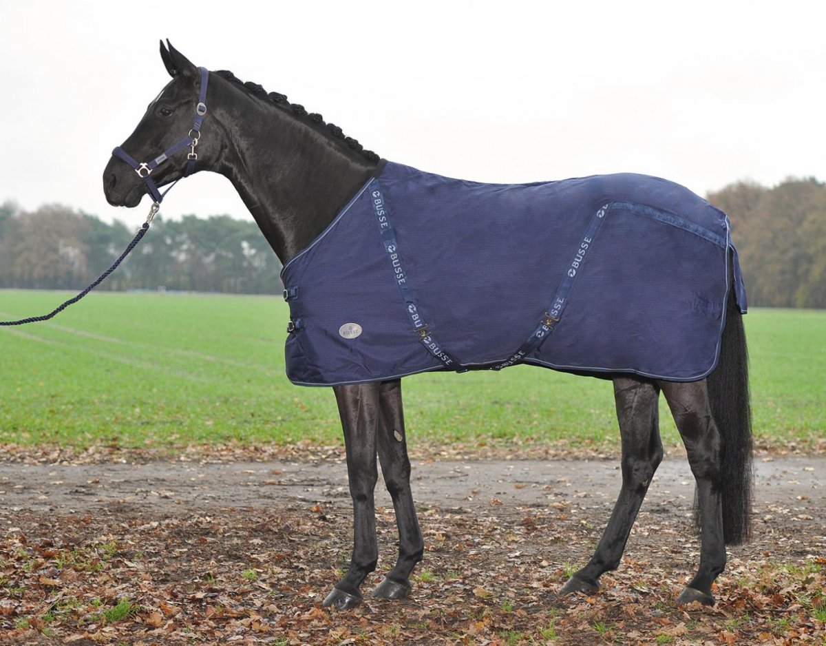 Аксессуары для лошадей