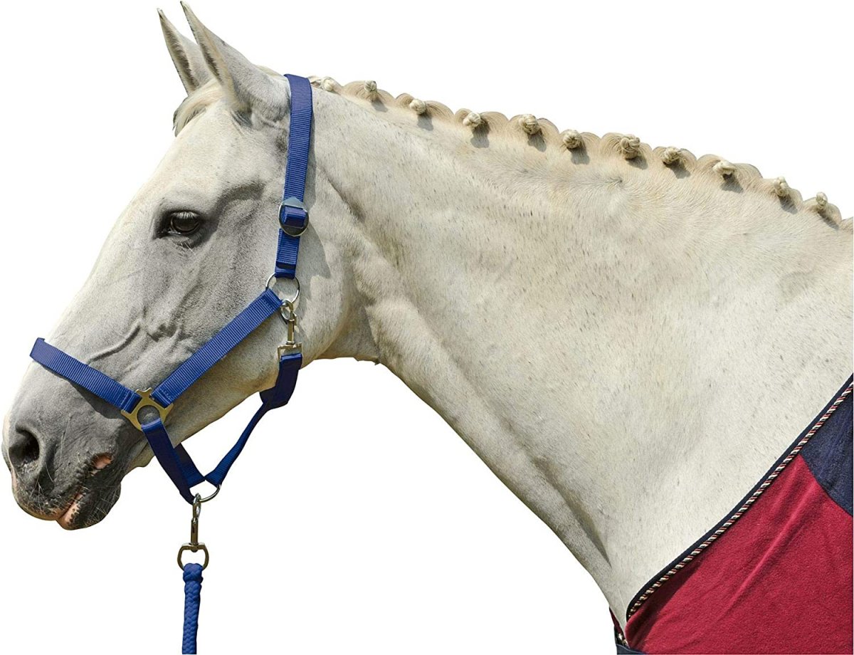 Недоуздок + Чумбур -Crystal- HKM