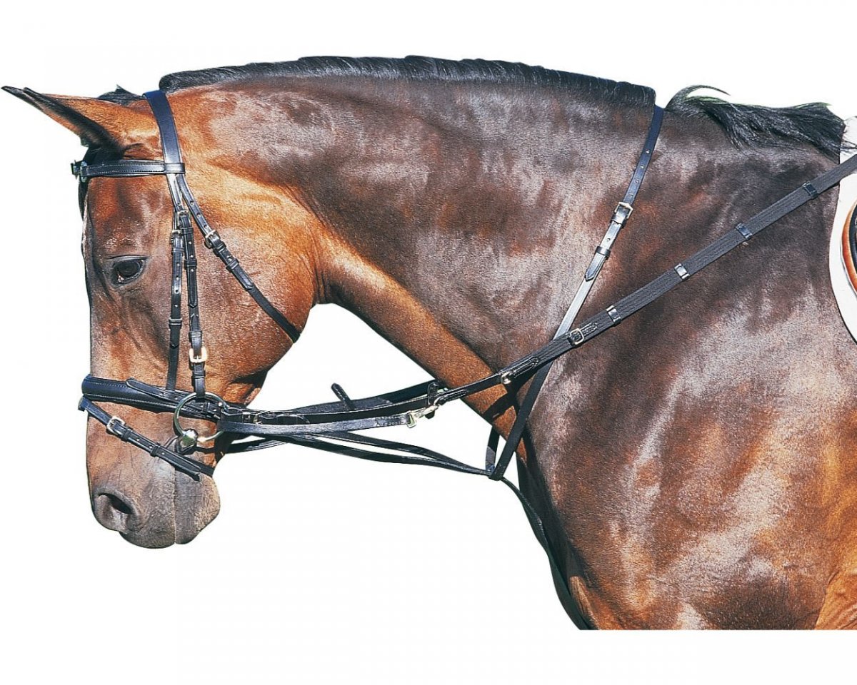 Недоуздок Sweet Horse