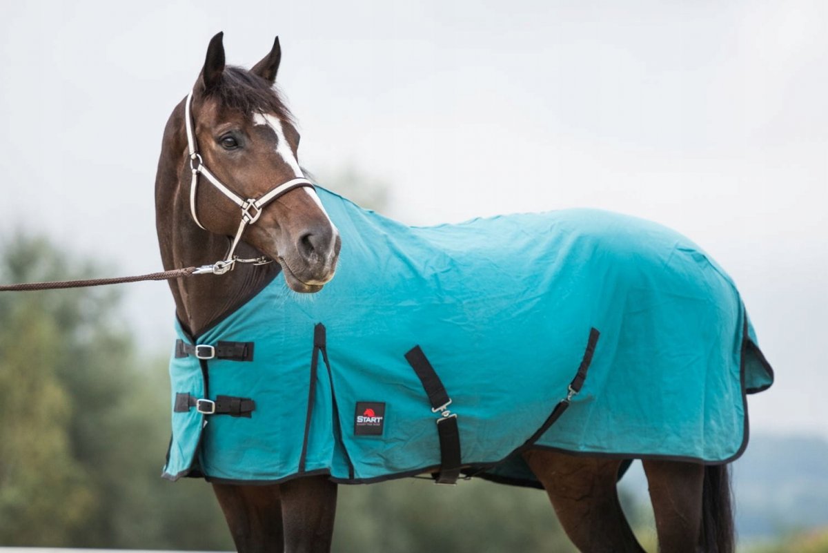 Конская сбруя уздечка