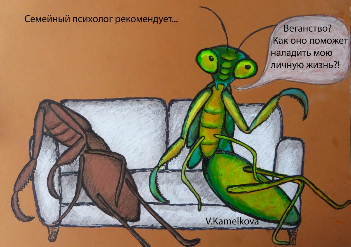 Желтый богомол