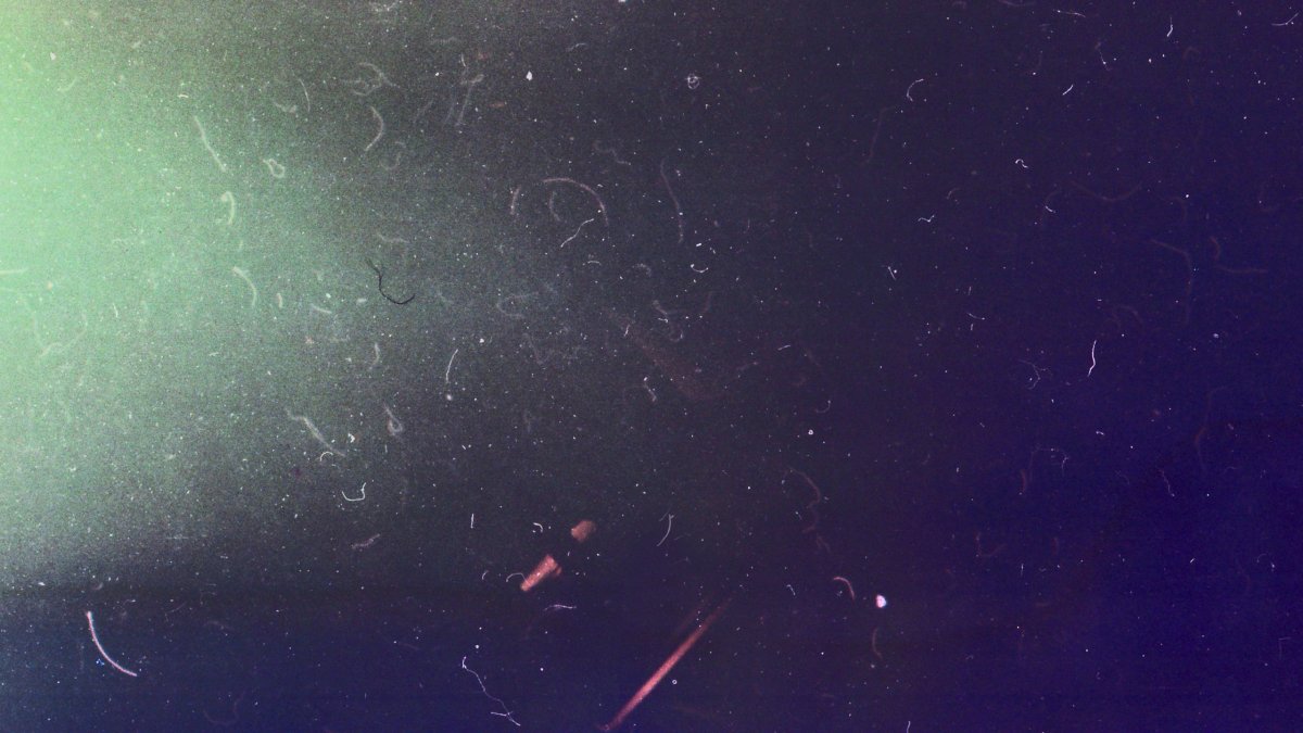 Фильтр старой пленки