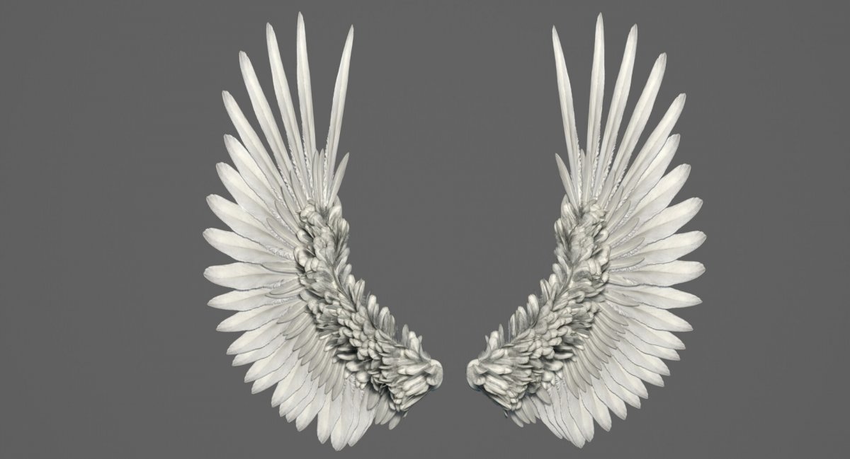 Рваные Крылья