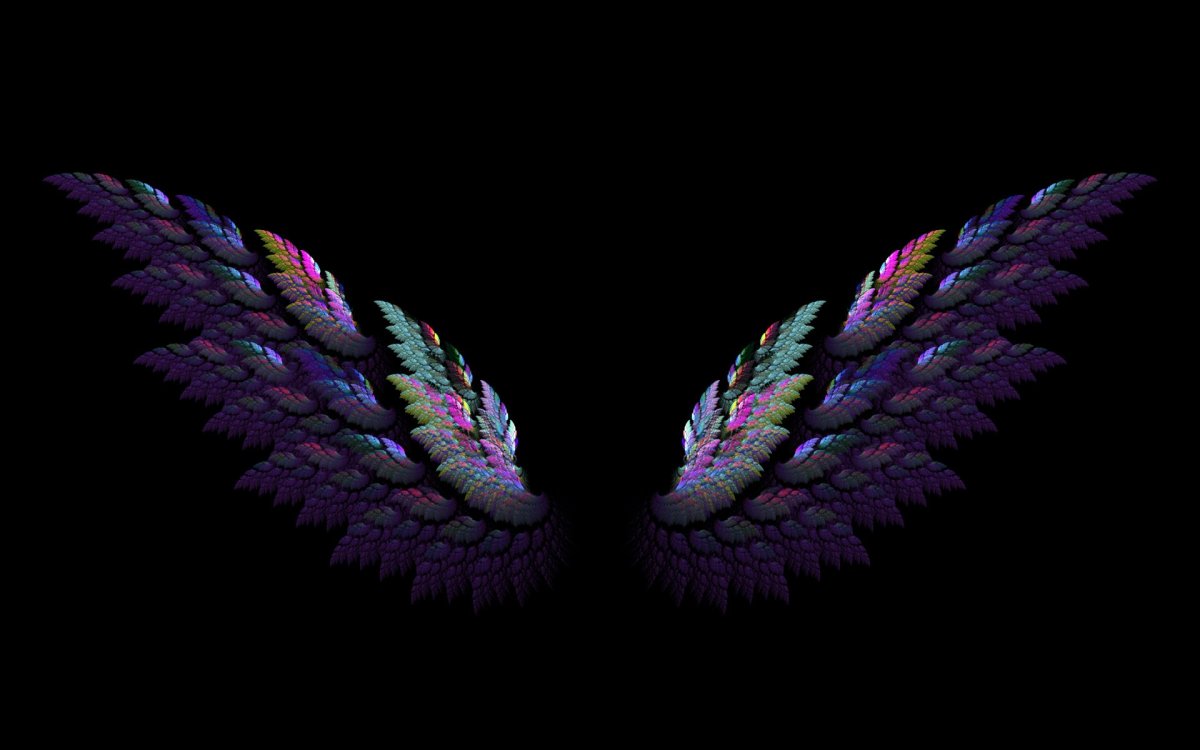 Крылья на белом фоне