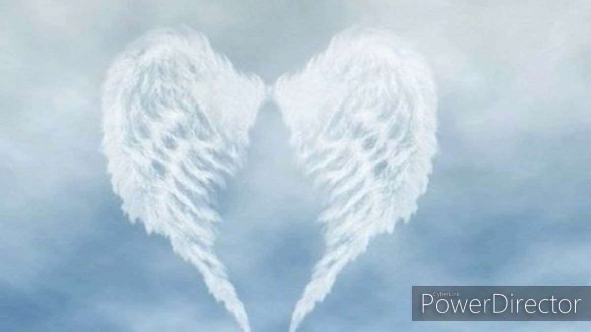 Zbrush Angel Wings