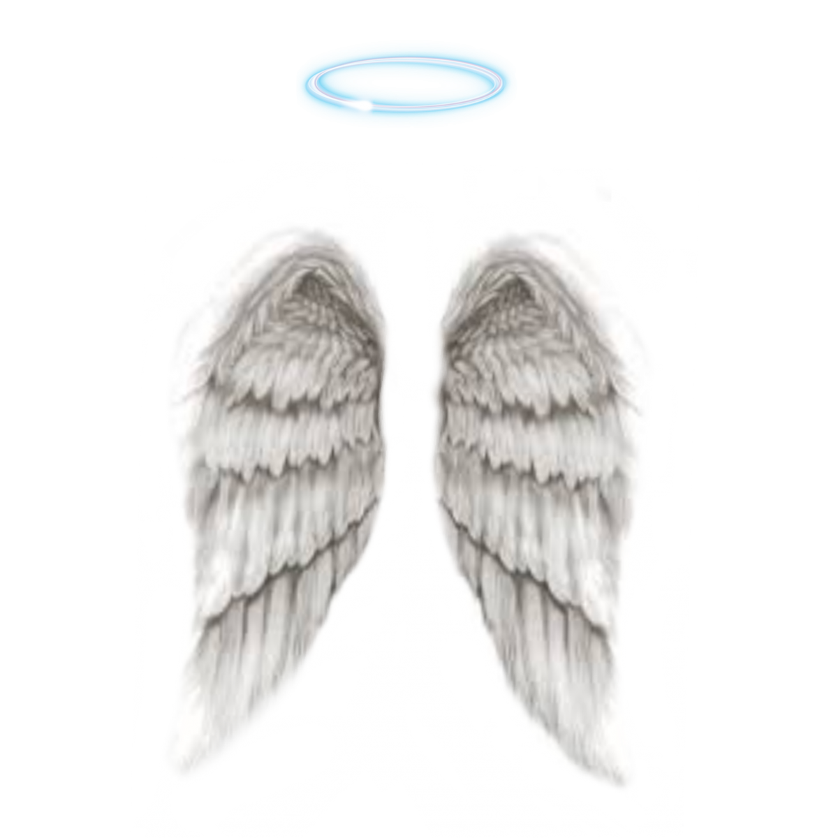 Розовые Крылья