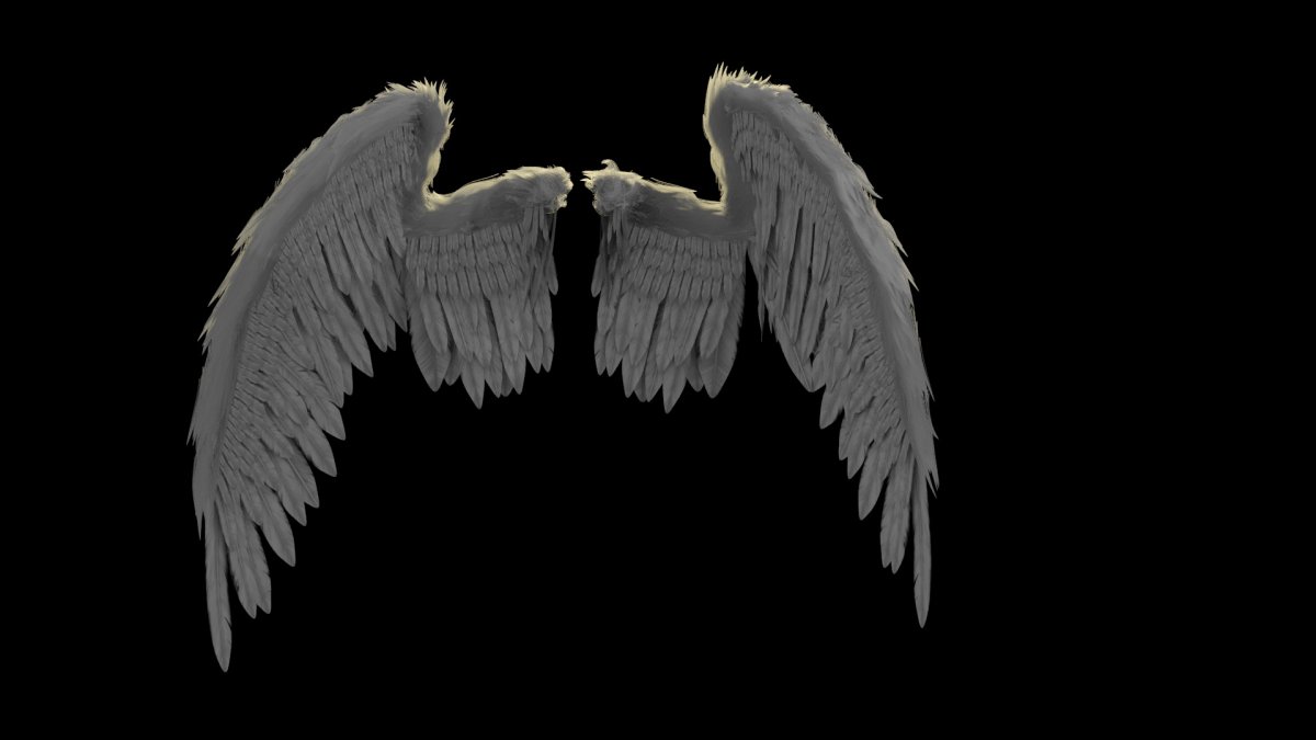 Бежевые Крылья