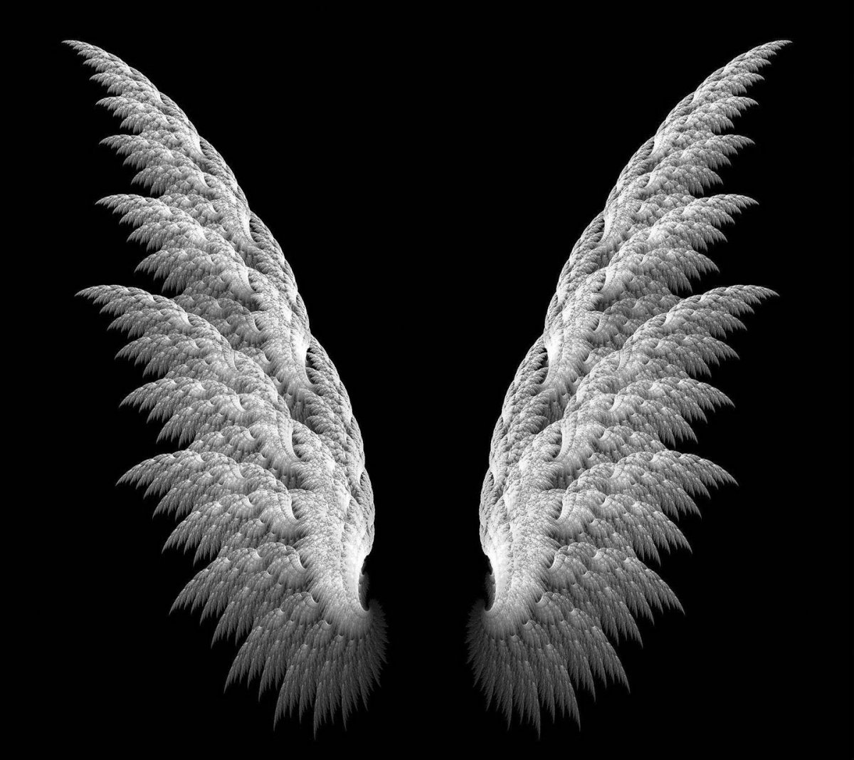 Крылья Минимализм