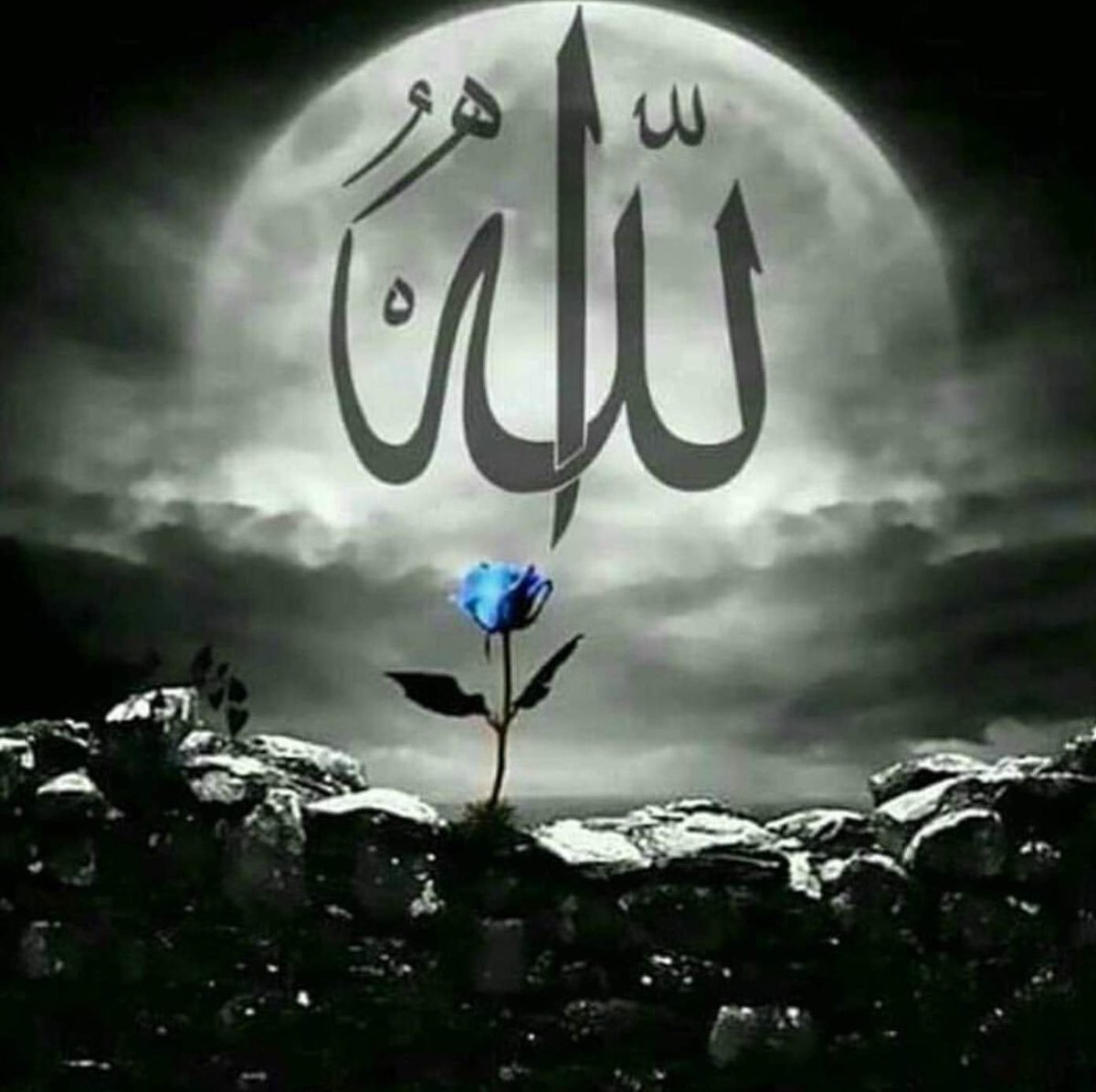 Бисмилла Мохаммади Хан