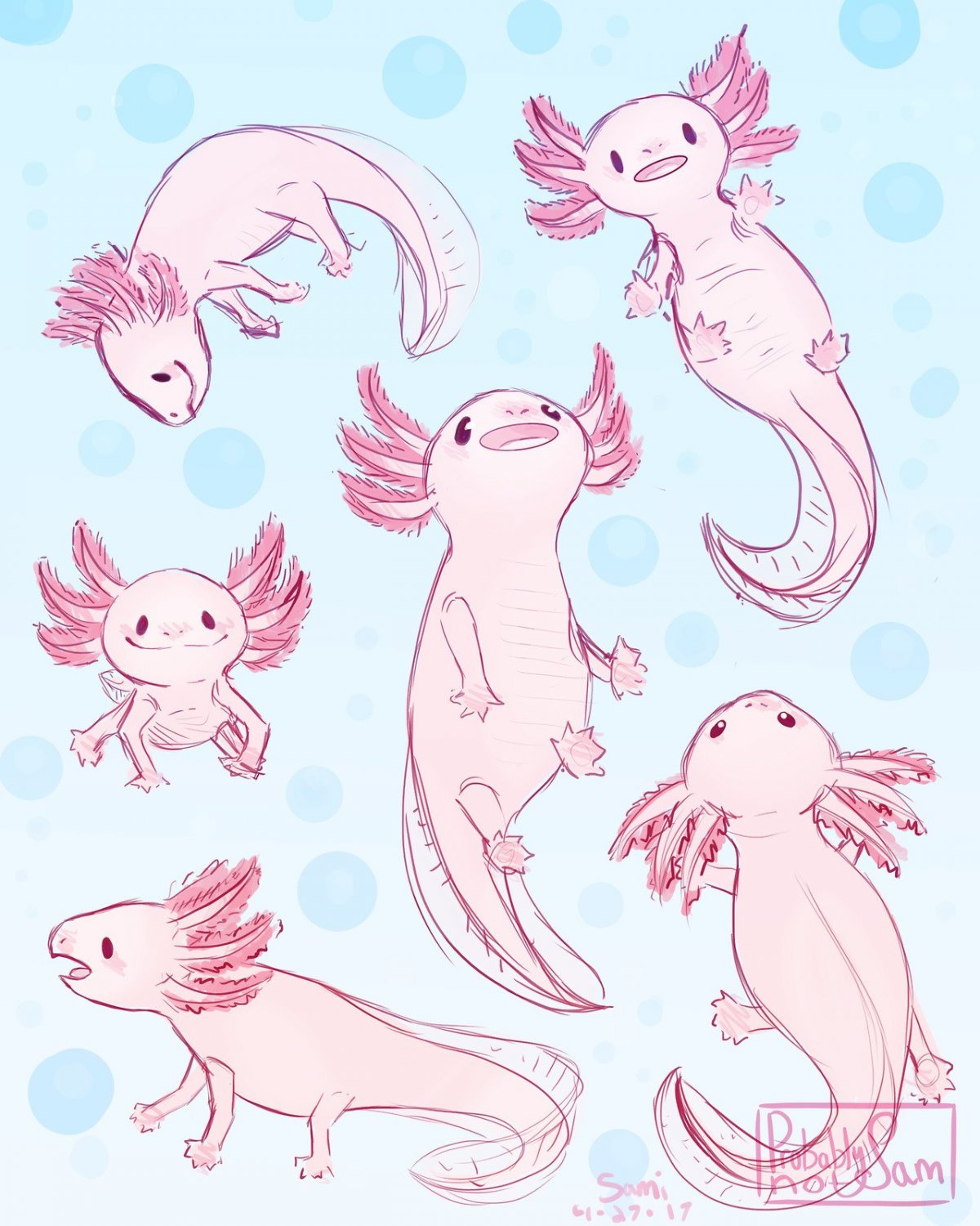 Аксолотль картинки для срисовки