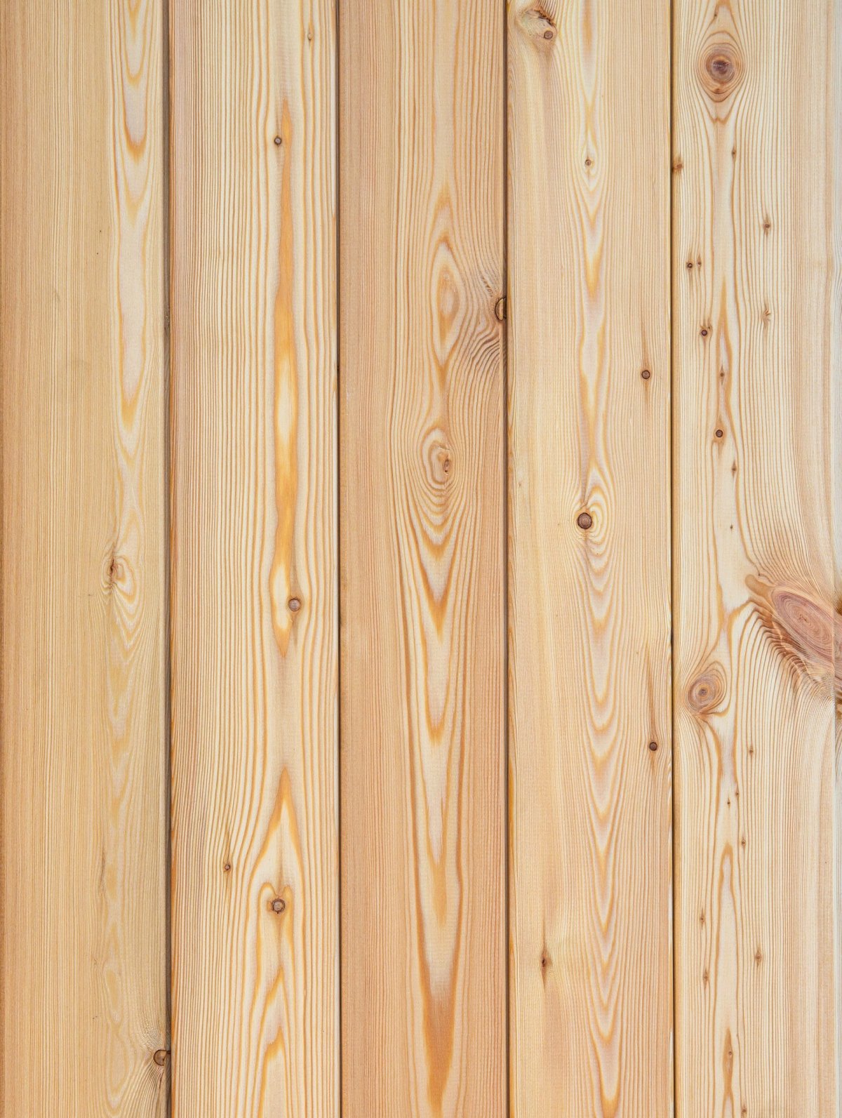 Штиль лиственница