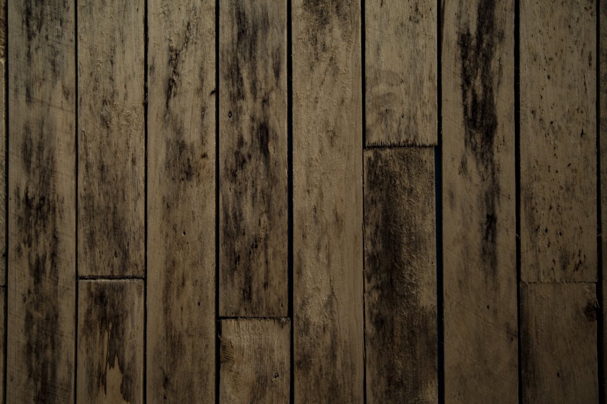 Деревянное покрытие