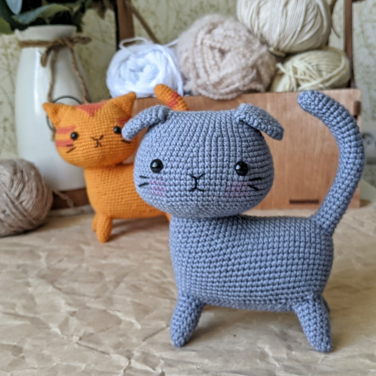 Кот Бася Шотландская вислоухая