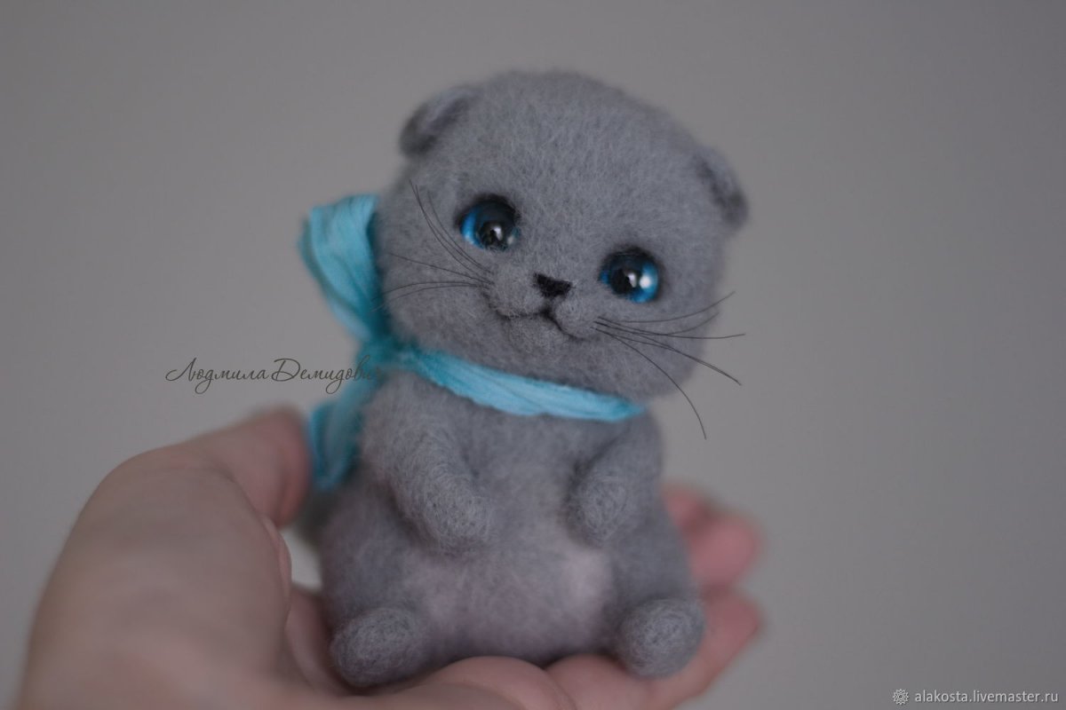 Валяние вислоухого кота