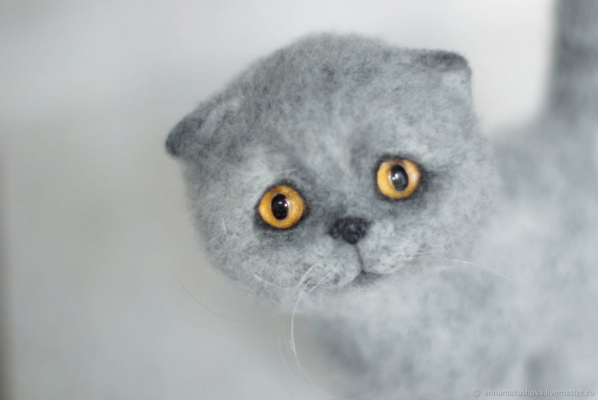 Мордочки из шерсти для валяния