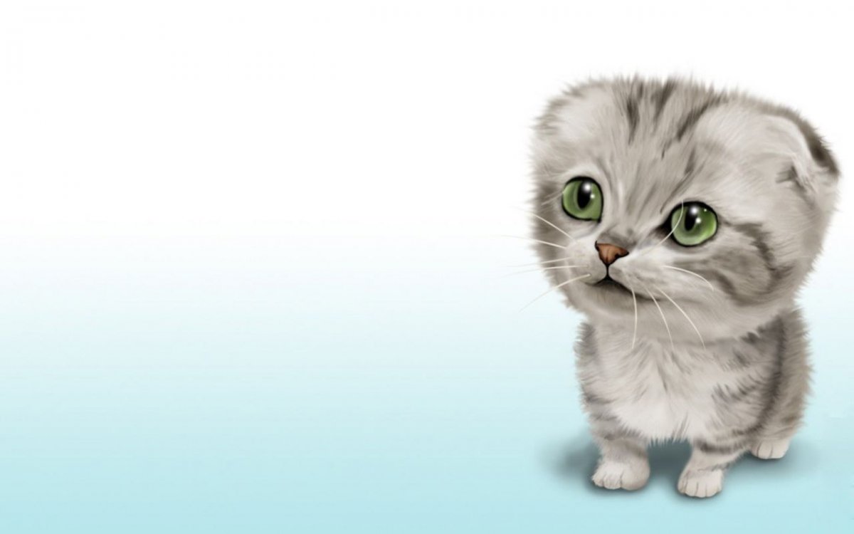 Шотландская вислоухая кошка серая