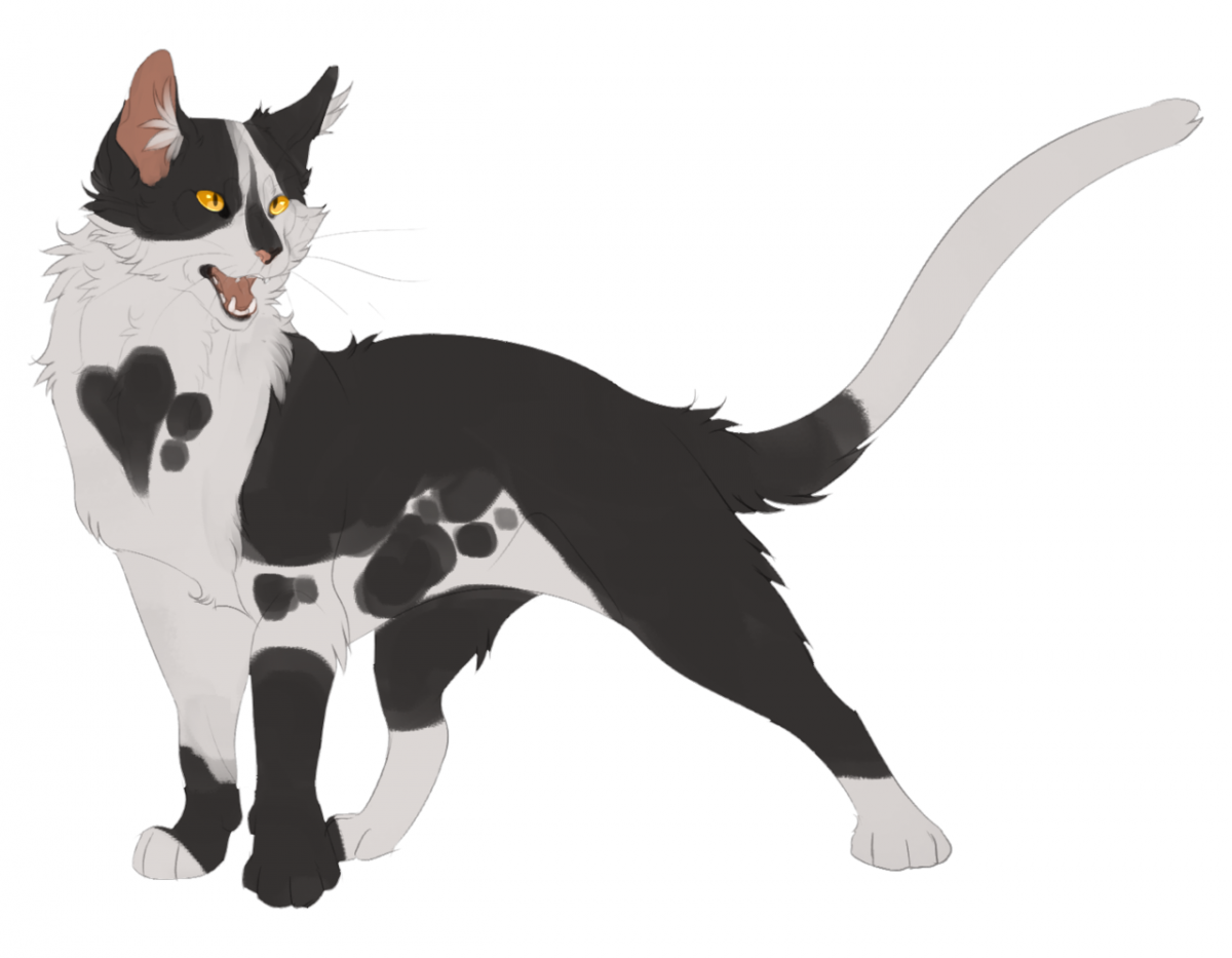 Warrior Cats tybaxel