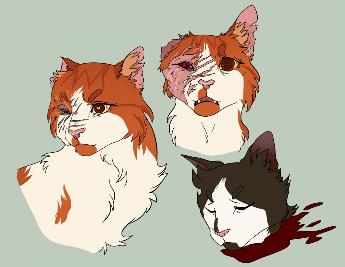 Коты Воители Быстролап