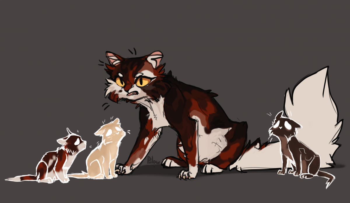 Коты Воители котята Кленовницы