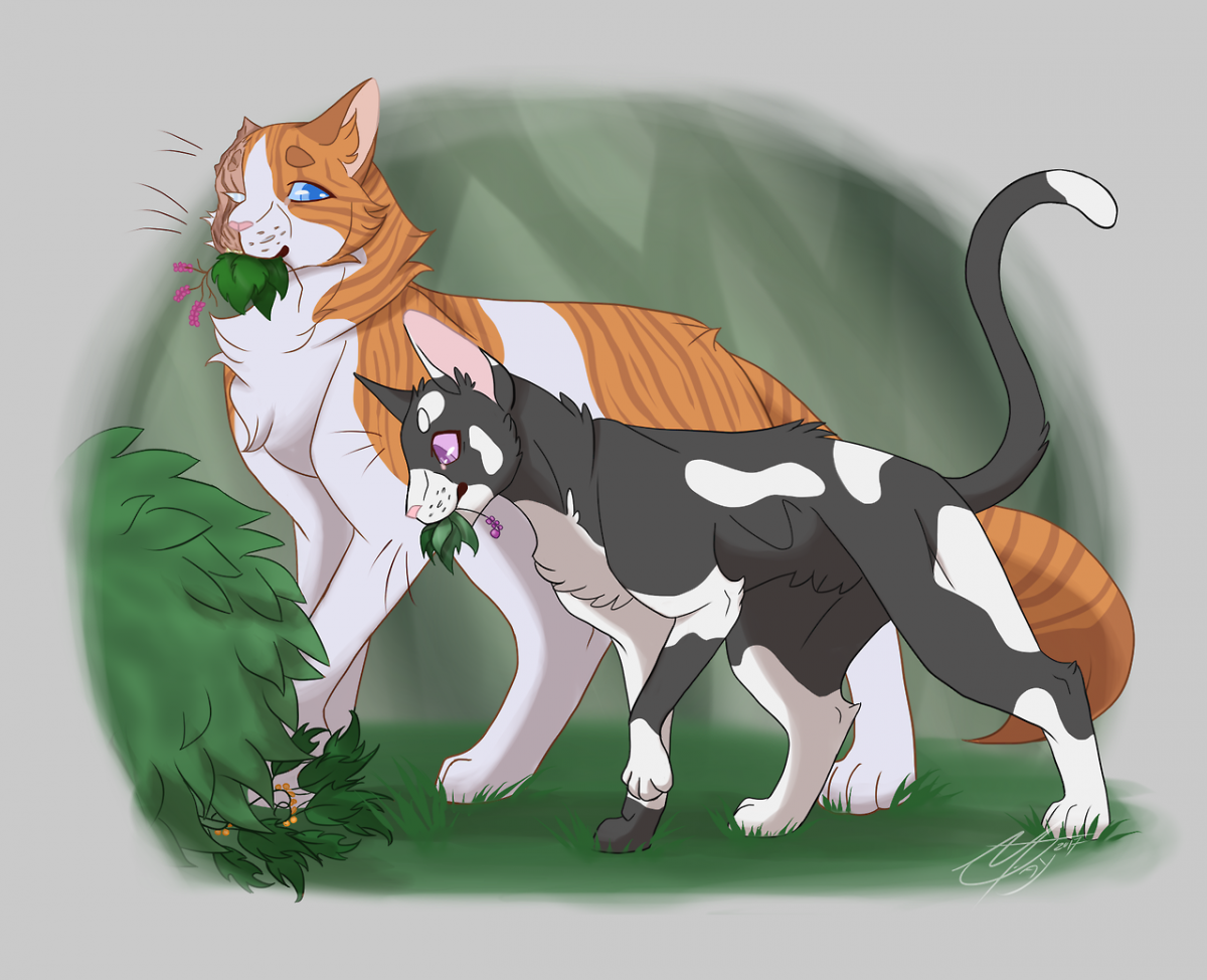 Коты Воители marymsjay