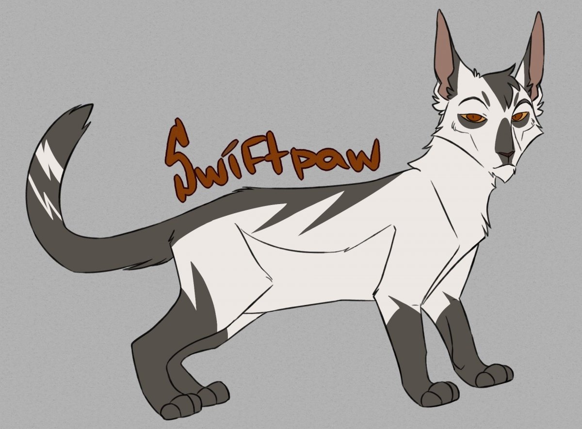 Swiftpaw коты Воители