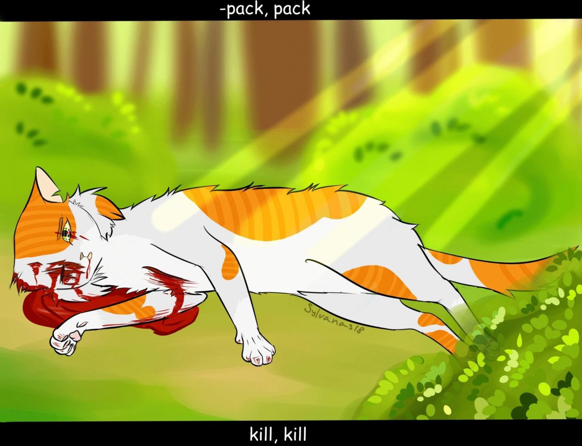 Коты Воители смерть Огнехвоста