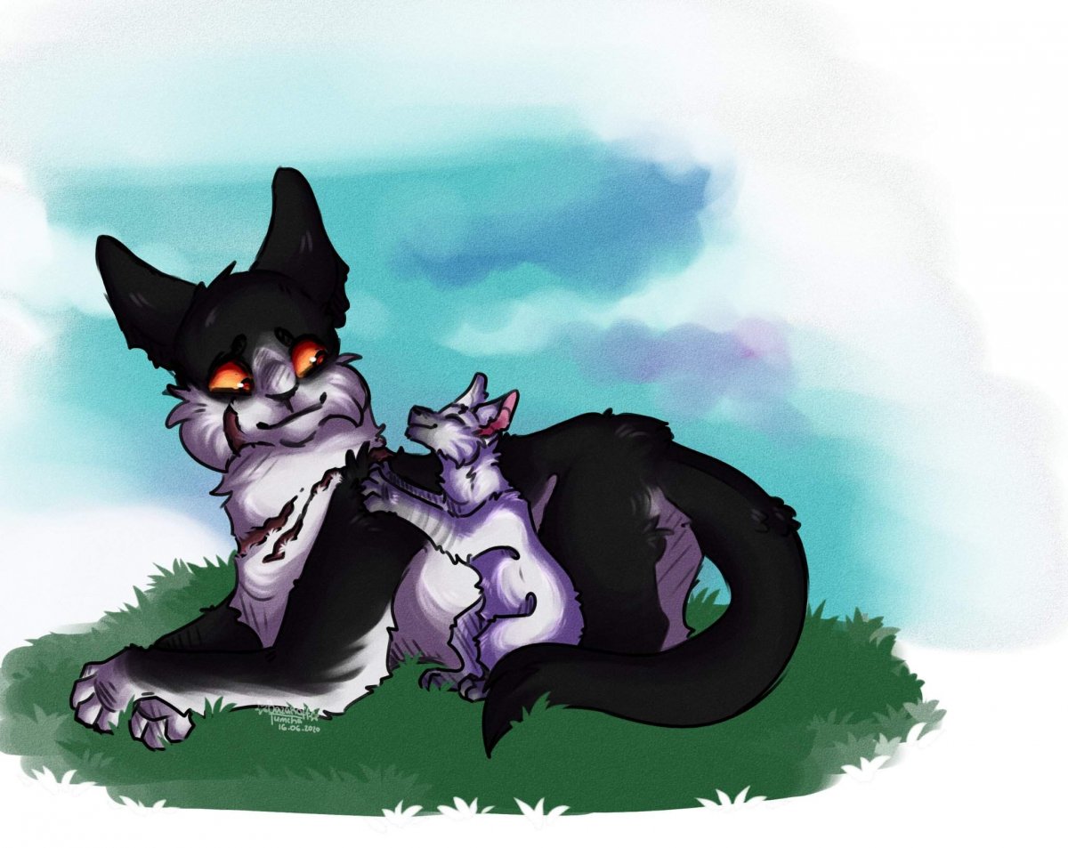 Коты Воители Белолапый