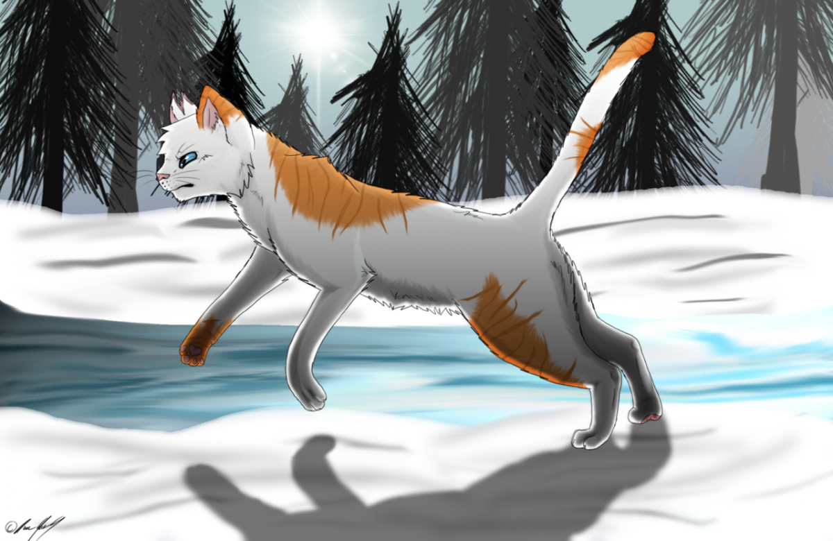 Коты Воители Быстролап в звёздном племени