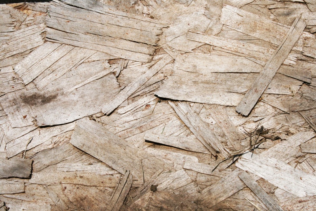 Фанера мореная