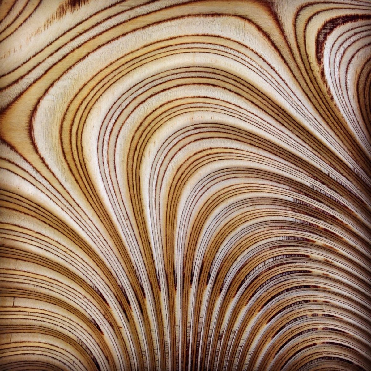 Фанера текстура бесшовная