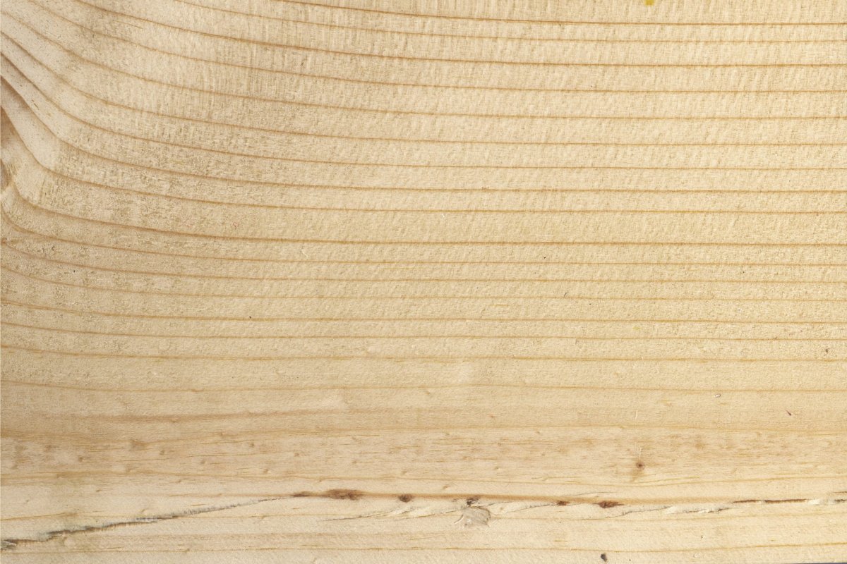 Торец фанеры текстура