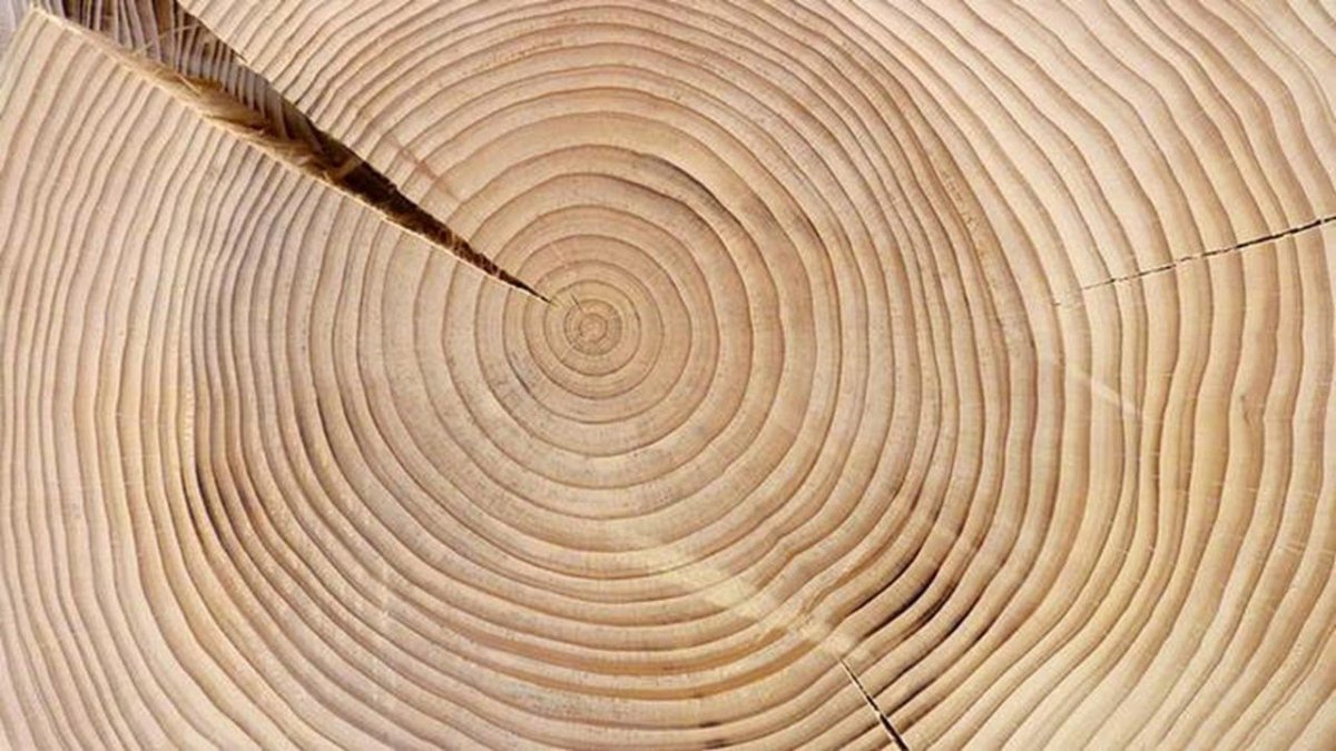 Мебельная фанера