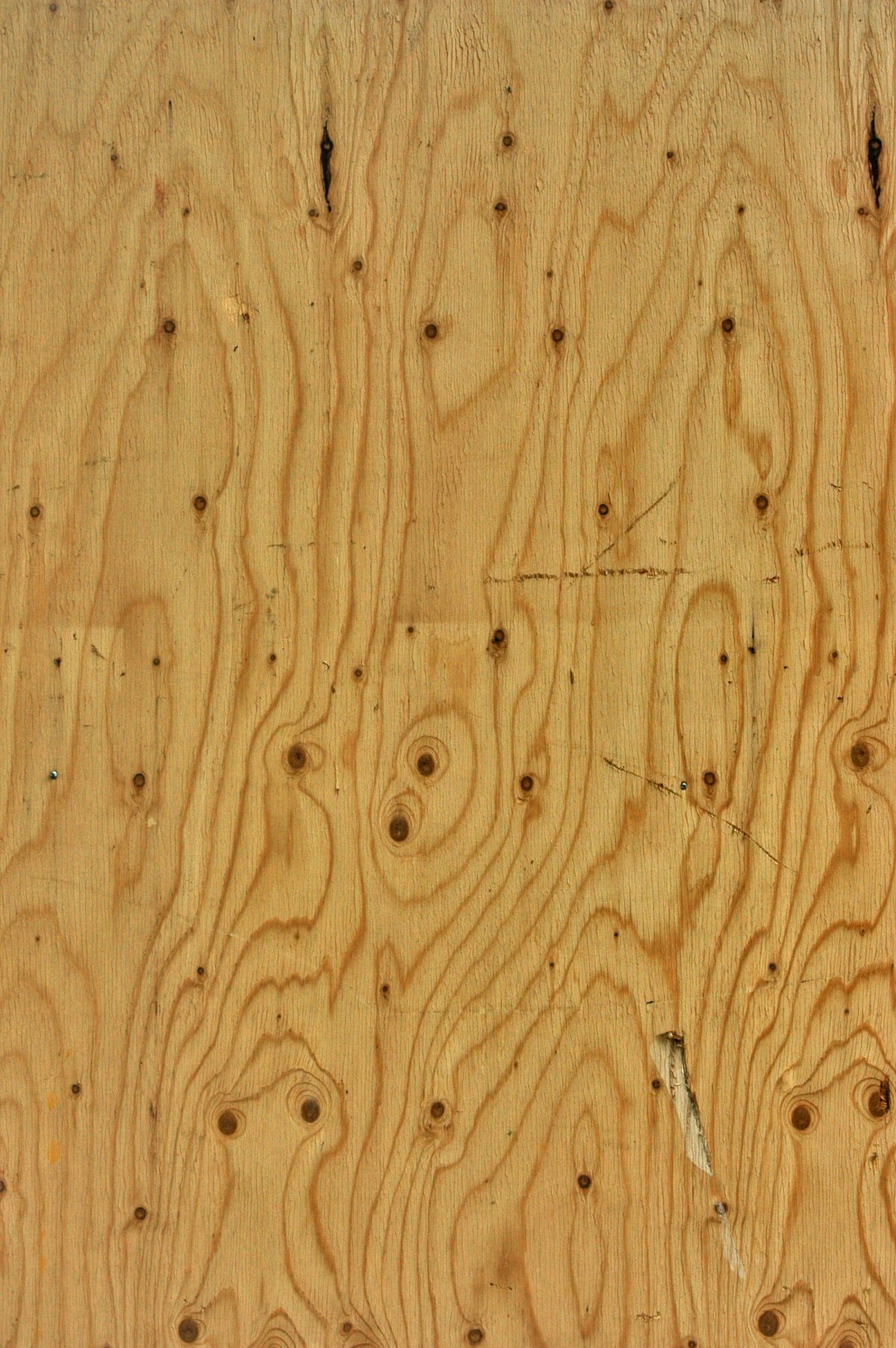 Фанера текстура