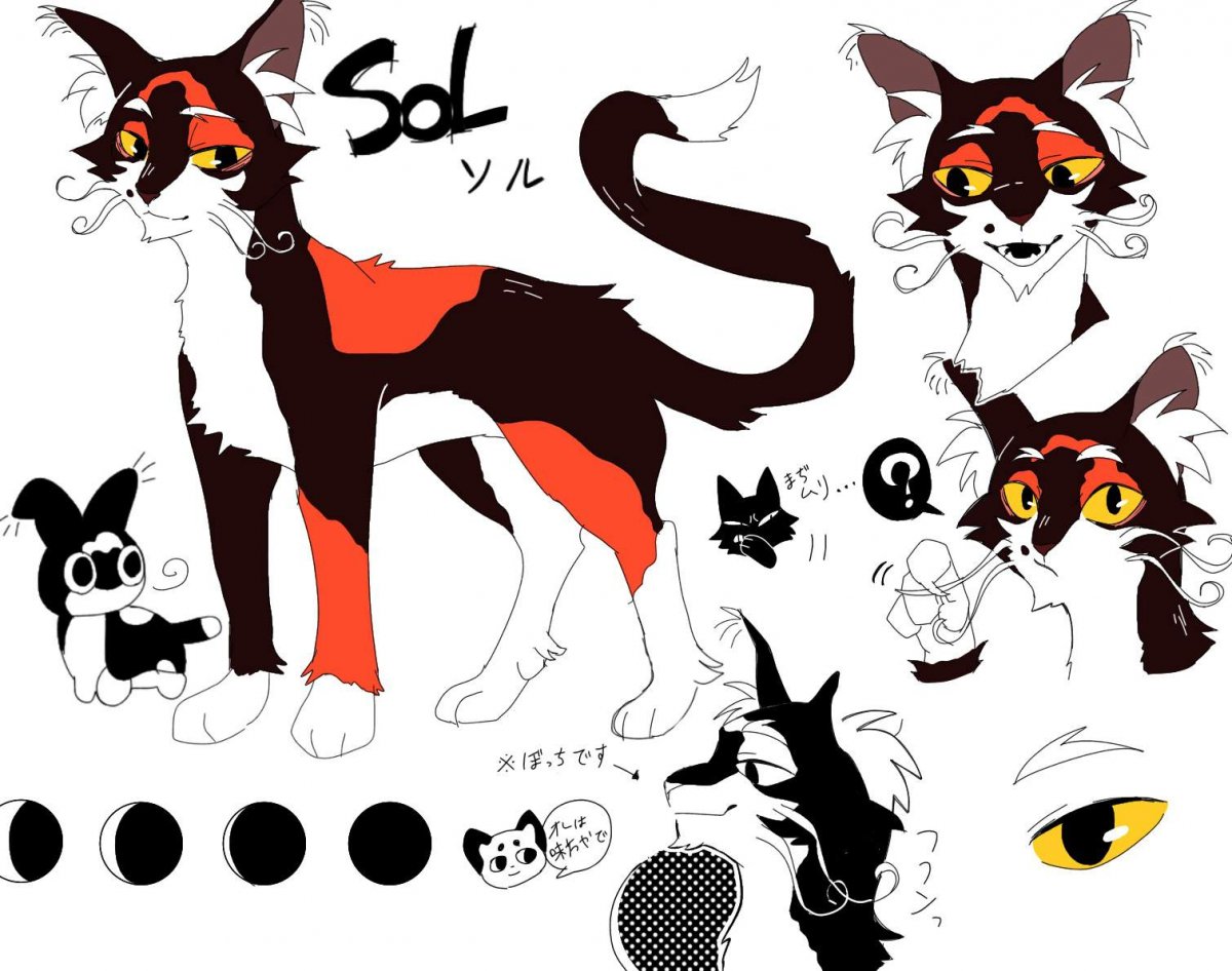 Грей Пиллоу коты Воители