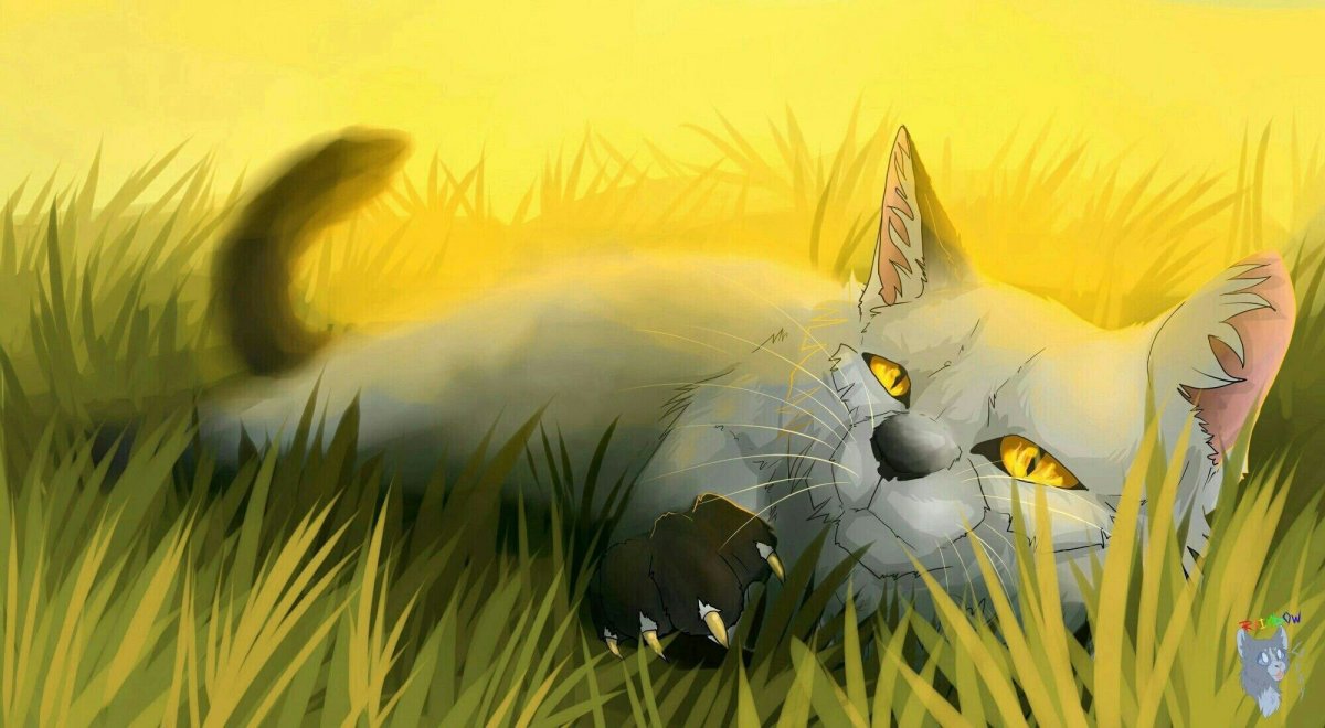 Коты Воители Остролистая референс