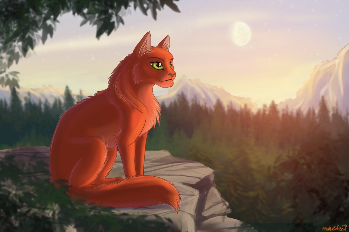 Коты Воители Кленовница убийца