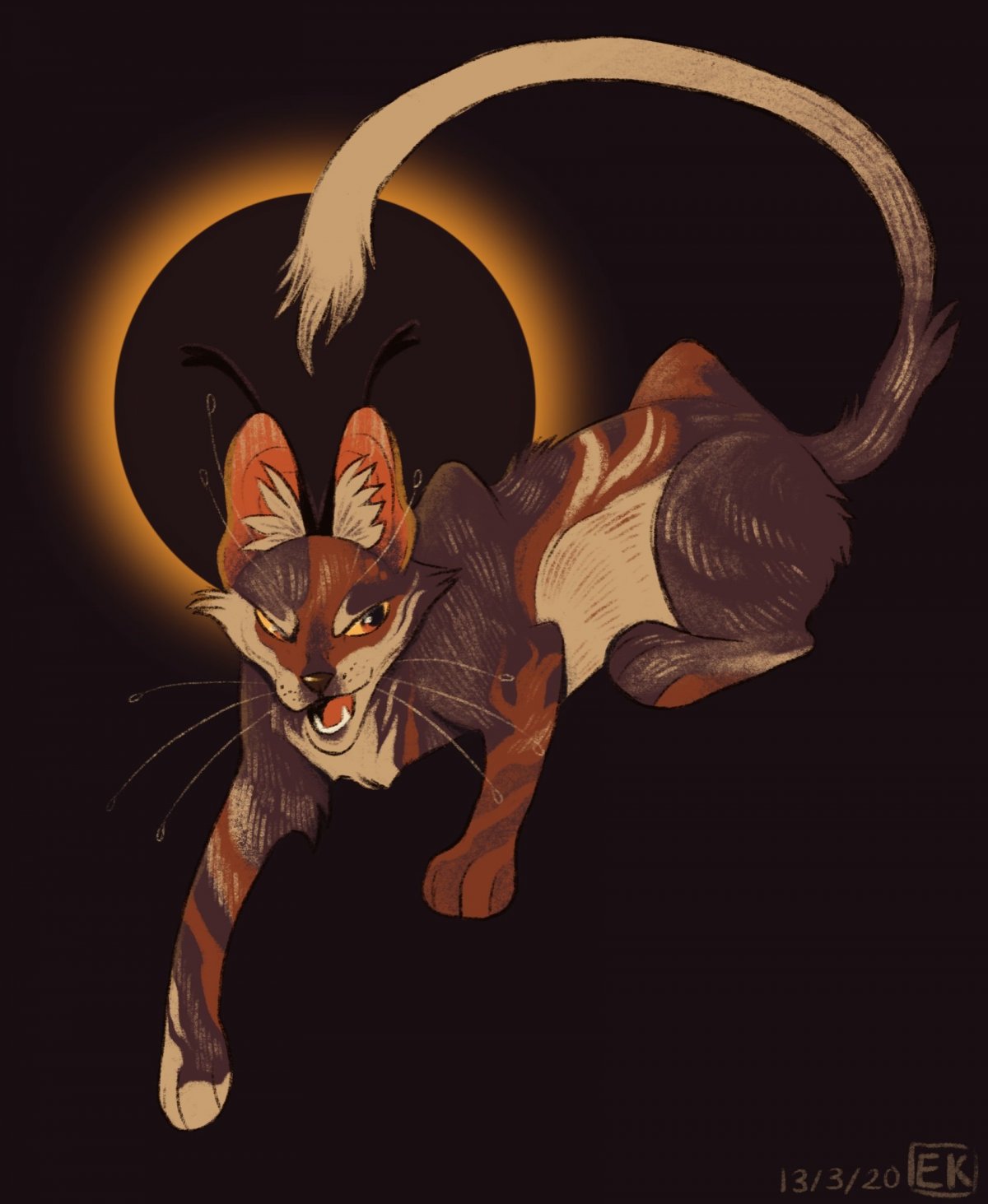 Коты Воители Огнезвёзд в лесу