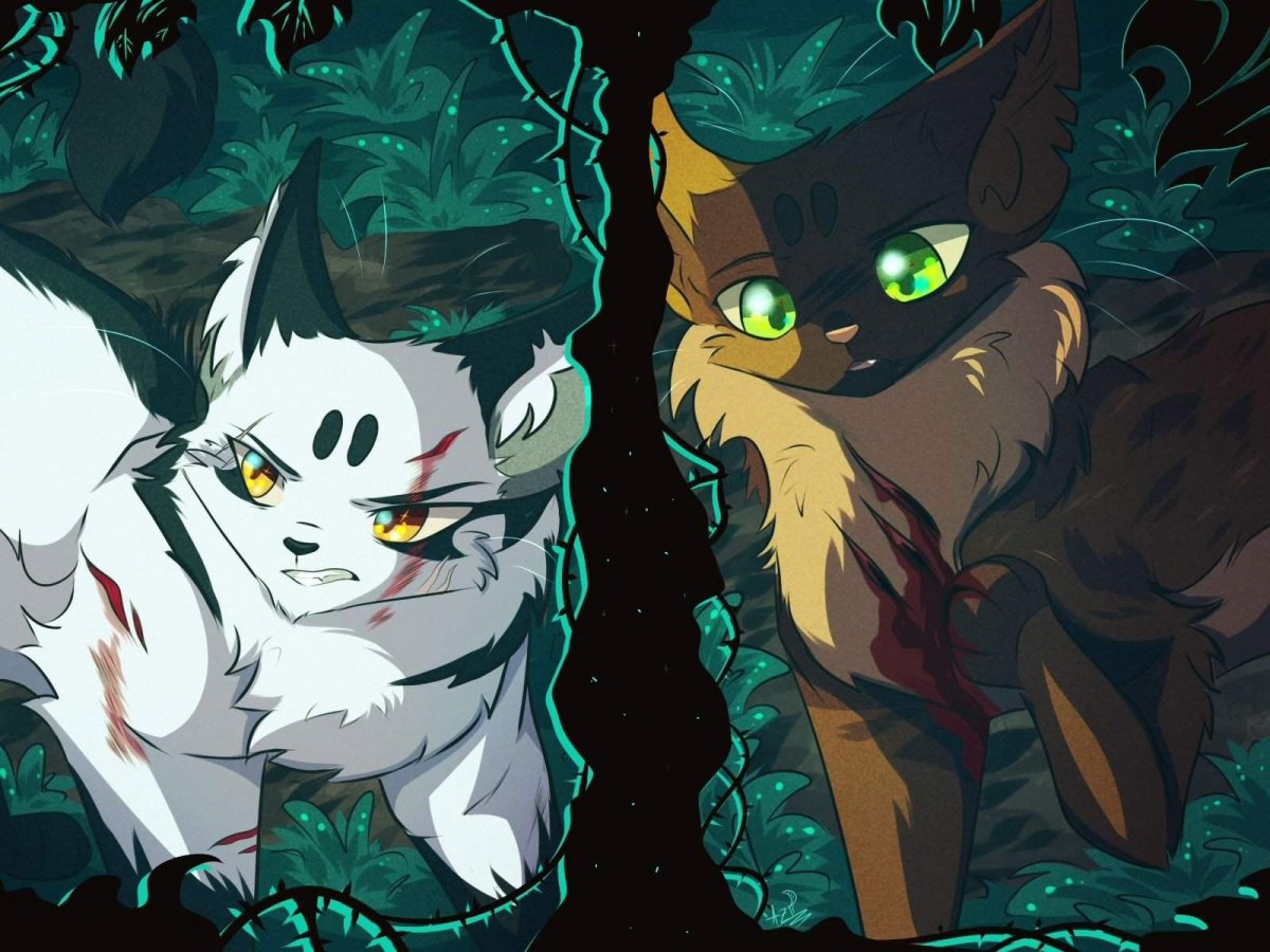 Коты Воители сол и Чернозвезд