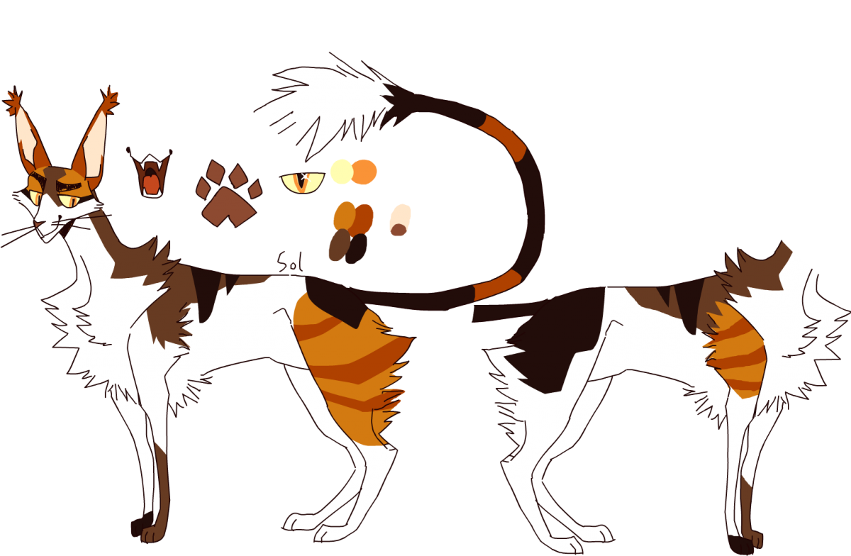 Коты Воители Варриорс