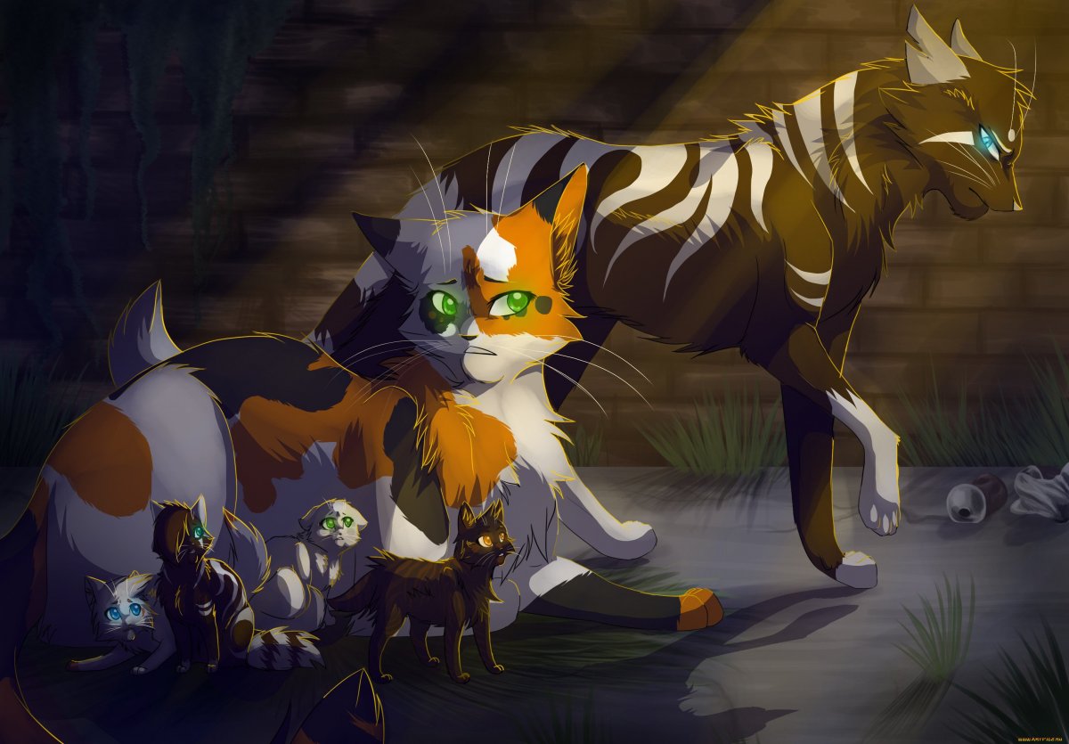 Сол коты Воители арт