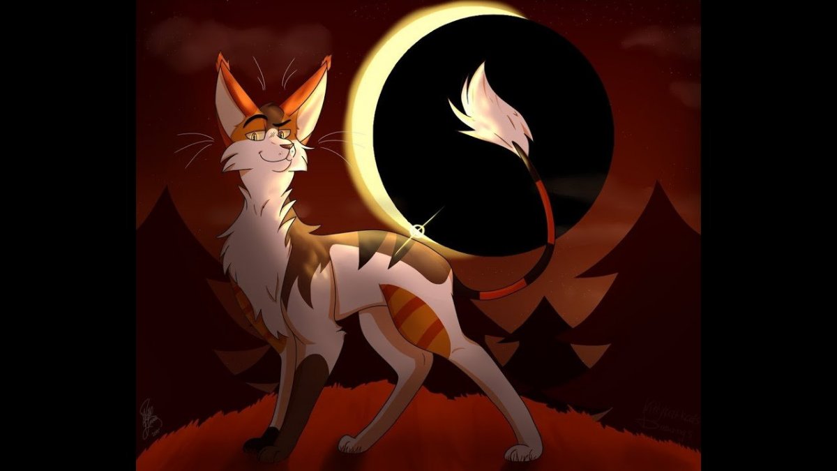 Коты Воители Рыжинка