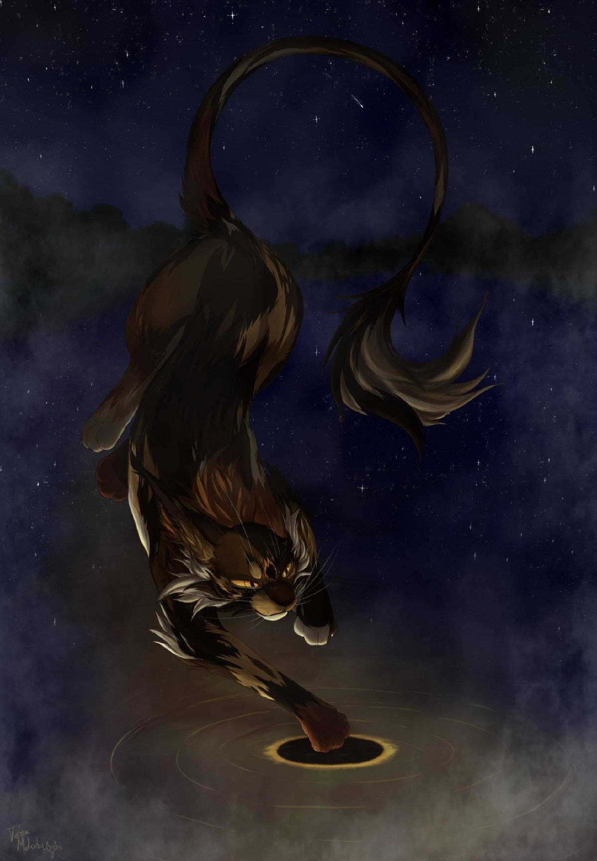 Коты-Воители. Полночь. Восход Луны